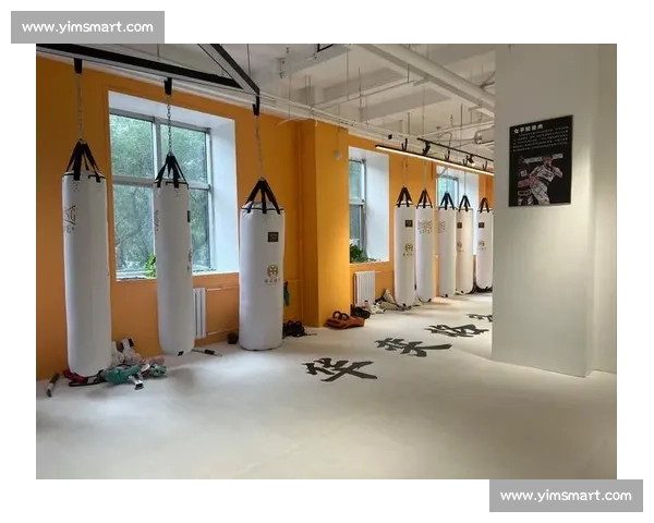 打造高效协作与体能提升的体育团队系统化训练方案